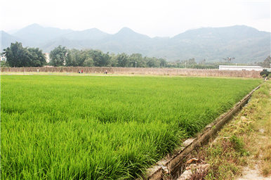 龍門(mén)生產(chǎn)基地