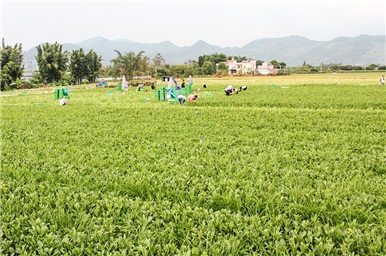 龍門生產(chǎn)基地