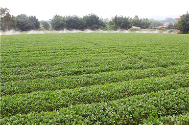 龍門生產(chǎn)基地